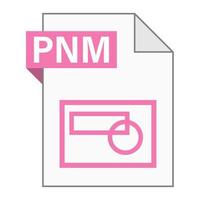 Modern flat design of PNM file icon for web vector