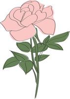 Pink rose with thin black outlines. High quality vector illustration.