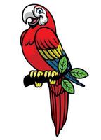 contento Scarlett guacamayo mascota logo vector