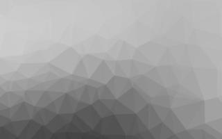 Light Silver, Gray vector abstract polygonal layout.