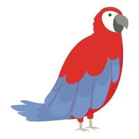 Paradise macaw icon cartoon vector. Parrot bird vector