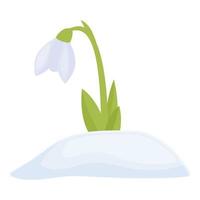 Blossom flora icon cartoon vector. Spring flower vector