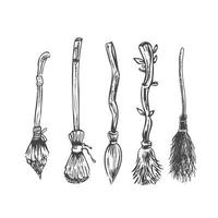Hand drawn sketch of magic brooms set. Element of witchcraft. Symbol of magic.  A vehicle for the witch.  Tattoo broomstick or print for Halloween or all saints ' day. Vector illustration.