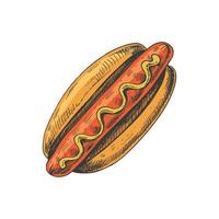 Hand-drawn colored sketch of hot dog isolated on white background. Fast food illustration. Vintage drawing. Great for menu, poster or restaurant background. vector