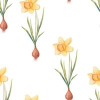 Watercolor botanical realistic floral pattern with narcissus. Bright yellow daffodil on a white background. Natural and vibrant repeated print for textile, wallpaper. Spring flowers vector