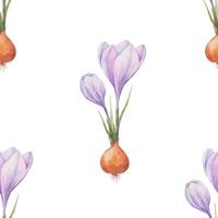 Crocus pattern. Saffron field. Seamless pattern with purple crocuses. Seamless vector pattern on a transparent background. Background illustration.  Wrapping background