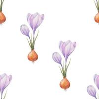 Crocus pattern. Saffron field. Seamless pattern with purple crocuses. Seamless vector pattern on a transparent background. Background illustration.  Wrapping background