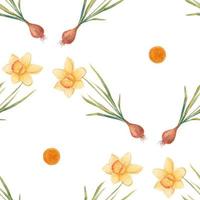 Watercolor botanical realistic floral pattern with narcissus. Bright yellow daffodil on a white background. Natural and vibrant repeated print for textile, wallpaper. Spring flowers vector