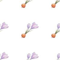 Crocus pattern. Saffron field. Seamless pattern with purple crocuses. Seamless vector pattern on a transparent background. Background illustration.  Wrapping background