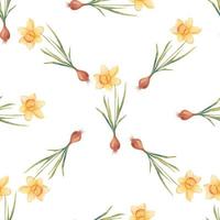 Watercolor botanical realistic floral pattern with narcissus. Bright yellow daffodil on a white background. Natural and vibrant repeated print for textile, wallpaper. Spring flowers vector