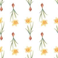 Watercolor botanical realistic floral pattern with narcissus. Bright yellow daffodil on a white background. Natural and vibrant repeated print for textile, wallpaper. Spring flowers vector