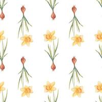 Watercolor botanical realistic floral pattern with narcissus. Bright yellow daffodil on a white background. Natural and vibrant repeated print for textile, wallpaper. Spring flowers vector