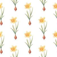 Watercolor botanical realistic floral pattern with narcissus. Bright yellow daffodil on a white background. Natural and vibrant repeated print for textile, wallpaper. Spring flowers vector