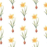 Watercolor botanical realistic floral pattern with narcissus. Bright yellow daffodil on a white background. Natural and vibrant repeated print for textile, wallpaper. Spring flowers vector