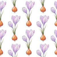 Crocus pattern. Saffron field. Seamless pattern with purple crocuses. Seamless vector pattern on a transparent background. Background illustration.  Wrapping background