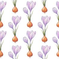 Crocus pattern. Saffron field. Seamless pattern with purple crocuses. Seamless vector pattern on a transparent background. Background illustration.  Wrapping background