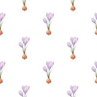 Crocus pattern. Saffron field. Seamless pattern with purple crocuses. Seamless vector pattern on a transparent background. Background illustration.  Wrapping background