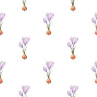 Crocus pattern. Saffron field. Seamless pattern with purple crocuses. Seamless vector pattern on a transparent background. Background illustration.  Wrapping background