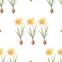 Watercolor botanical realistic floral pattern with narcissus. Bright yellow daffodil on a white background. Natural and vibrant repeated print for textile, wallpaper. Spring flowers vector