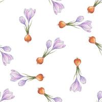 Crocus pattern. Saffron field. Seamless pattern with purple crocuses. Seamless vector pattern on a transparent background. Background illustration.  Wrapping background