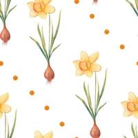 Watercolor botanical realistic floral pattern with narcissus. Bright yellow daffodil on a white background. Natural and vibrant repeated print for textile, wallpaper. Spring flowers vector