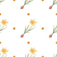 Watercolor botanical realistic floral pattern with narcissus. Bright yellow daffodil on a white background. Natural and vibrant repeated print for textile, wallpaper. Spring flowers vector