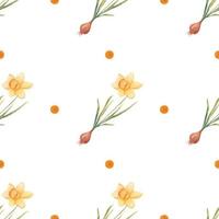 Watercolor botanical realistic floral pattern with narcissus. Bright yellow daffodil on a white background. Natural and vibrant repeated print for textile, wallpaper. Spring flowers vector