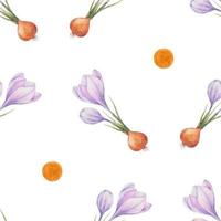 Crocus pattern. Saffron field. Seamless pattern with purple crocuses. Seamless vector pattern on a transparent background. Background illustration.  Wrapping background