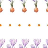 Crocus pattern. Saffron field. Seamless pattern with purple crocuses. Seamless vector pattern on a transparent background. Background illustration.  Wrapping background