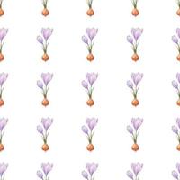 Crocus pattern. Saffron field. Seamless pattern with purple crocuses. Seamless vector pattern on a transparent background. Background illustration.  Wrapping background