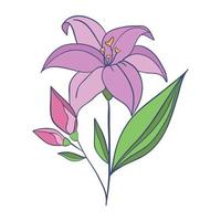 Lotus. Pink flower. Stem and leaves for advertising or invitation. Blossom, bud opening, an aquatic plant. 3D design. Isolated objects for design vector