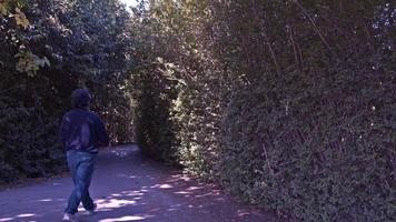 voyageur homme en marchant sur boisé chemin dans forêt video