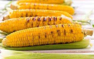 Grilled young corns photo