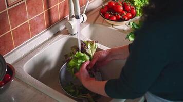 a sobrecarga Visão do grávida mulher lavando verdes, limpeza salada folhas a partir de sujeira debaixo corrida água, cozinhando saudável refeição. orgânico legumes em cozinha bancada. saudável nutrição durante gravidez video