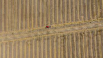 Aerial view of haymaking processed into round bales. Red tractor works in the field video