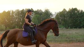 Woman riding horse by gallop video