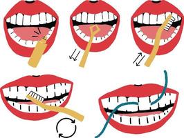 Set of teeth with braces and dental floss. Vector illustration.