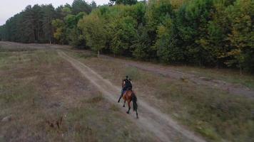 Woman riding horse by gallop video