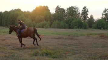 Frau Reiten Pferd durch Galopp video