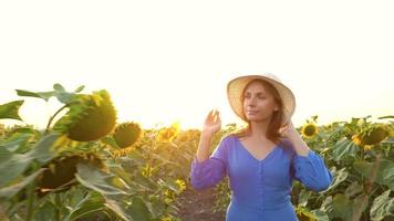 mulher dentro uma azul vestir e chapéu cheira e examina uma girassol dentro a campo às pôr do sol. agricultura. colheita video