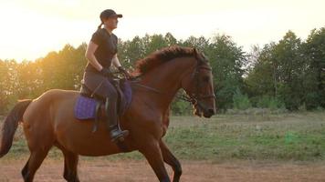 Woman riding horse by gallop video