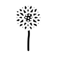 crisantemo florecer primavera glifo icono vector ilustración