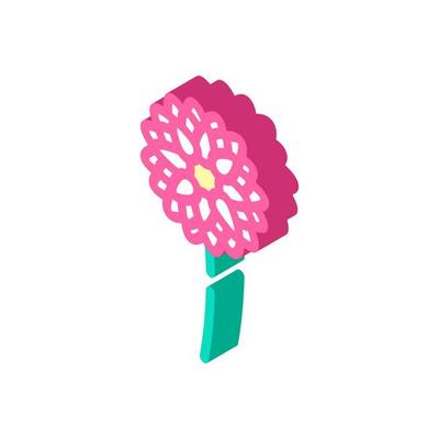 dahlia blossom spring isometric icon vector illustration