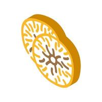 higos seco Fruta isométrica icono vector ilustración