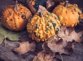 Autumn leafs and pumpkins photo