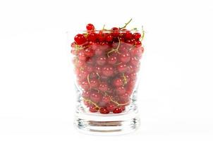 Currant in the glass photo