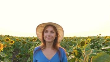 mulher dentro uma azul vestir e chapéu cheira e examina uma girassol dentro a campo às pôr do sol. agricultura. colheita video