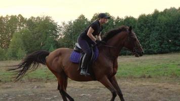 vrouw rijden paard door galop video