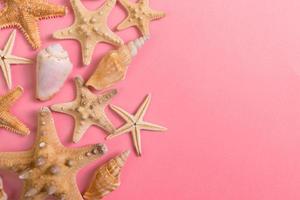 lot of seashells and many starfish on pink background photo