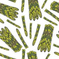 Asparagus seamless pattern. Hand drawn background. Vector illustration. Asparagus vegetable hand drawn backdrop.